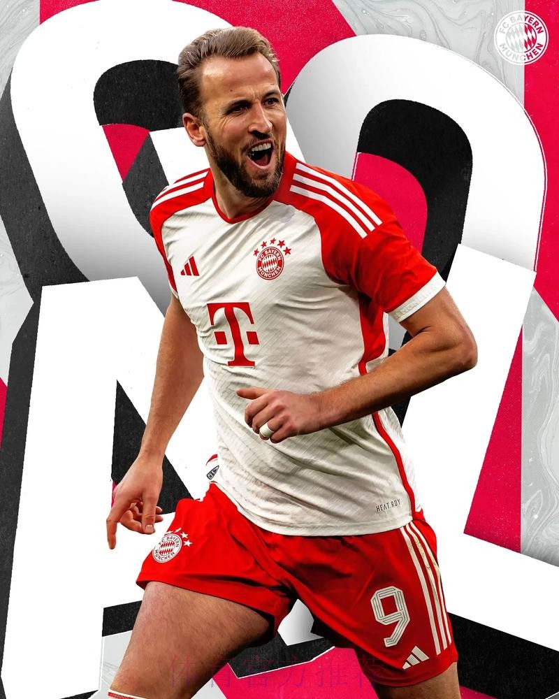 世界杯巴西凯恩数据统计最新更新